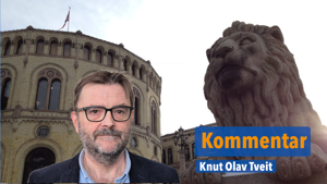 Mid Tilpasset Kommentar